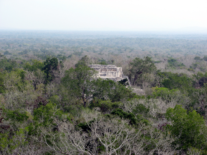 0704 calakmul 19.jpg